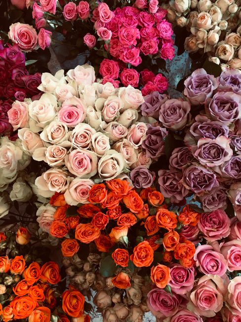 A vibrant collection of fresh flower bouquets featuring roses in various shades including soft pink, lavender, cream, and bright orange. The roses are displayed closely together, showcasing their lush