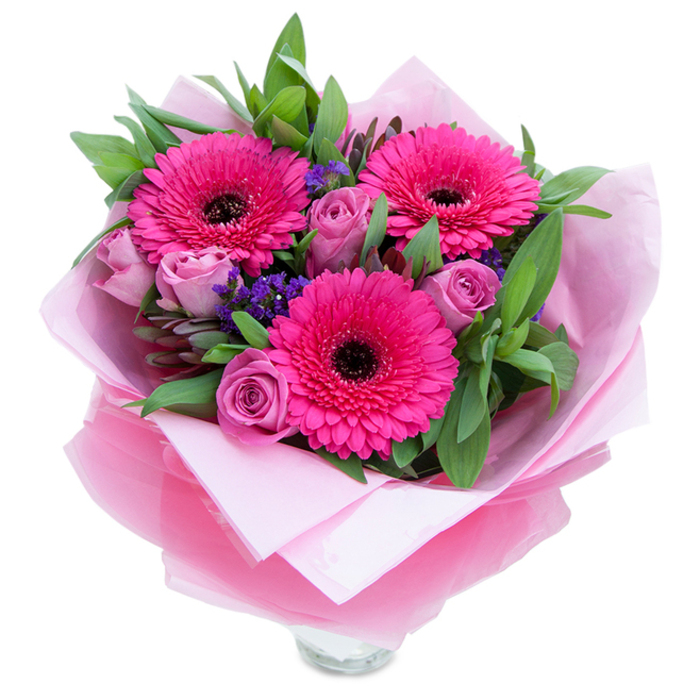 I see this bouquet as a small celebration of spring: three fuchsia Gerbera daisies burst open with exuberant colour, each with a dark, almost ebony centre that lends a sculptural contrast to their luminous petals. Nestled modestly among them are roses in a tender lavender-pink or dusty-rose tone, their petals layered like whispered promises and exhaling a soft, classic rose perfume. Wisps of purple statice thread between the major blooms, adding feathery texture and a cool, anchoring accent that feels almost wildflower-like against the cultivated roses. The greenery-broad, glossy leaves similar to salal, softened by the rounder tones of eucalyptus-frames the arrangement with a fresh, slightly dewy appearance that grounds the composition. The bouquet is wrapped in an inner sheet of matte pale-pink tissue and an outer layer of sheer, crinkled fuchsia-pink cellophane that catches morning light with a subtle shimmer; the careful folds show the touch of a florist who values presentation. The clear glass vase rim at the base confirms the piece is ready for immediate display on a mantel or café table along Hatton's High Street. Imagine this placed near a window overlooking Hatton Park, where its colours would reflect the day and lift a quiet room-perfect for birthdays, anniversaries, or an everyday gesture of affection. The balance of velvety petals, crisp foliage, and delicate filler creates an arrangement that feels both thoughtfully crafted and warmly familiar.