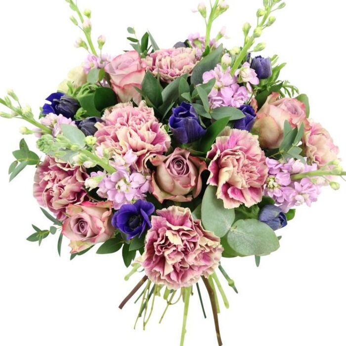 A lavish bouquet is beautifully captured against a plain white background, where every colour and petal shape stands out, much like a carefully curated floral display for a special occasion in Hatton. At its heart sit several large garden roses, their petals spiralling outward in graceful layers of blush pink, dusty mauve, and antique rose, giving the arrangement a soft, romantic centre. Radiating around these roses, plentiful carnations add body and an intricate, ruffled texture; their petals transition from creamy, almost biscuit-coloured centres through soft blush tones to richer rose and fuchsia along the crimped edges, creating a subtle yet striking gradient that brings warmth and depth. Contrasting with the pinks, bold accents of deep indigo and royal blue appear: some flowers remain in elegant, elongated buds, comparable to tulips just before opening, while a single open anemone near the base displays velvety royal blue petals circling a dark, nearly black heart, adding a dramatic focal point. Fine spires of lilac and pale purple stock reach upward, dotted with numerous tiny blossoms that bring a lighter texture and a sense of vertical lift, reminiscent of cottage-style plantings in gardens around Hatton Cross. Enveloping the entire composition is a mix of lush foliage, including dark green, slightly glossy leaves and the signature round, silvery discs of eucalyptus, which arc gracefully outward to frame the bouquet and introduce a cool, refreshing green tone. The stems at the bottom are gathered tightly and left visible, underscoring the freshly cut, hand-tied craftsmanship that a local florist takes pride in. The overall impression is one of polished elegance and gentle sentiment, perfectly suited for weddings, anniversaries, or as a refined gift to mark a meaningful moment.
